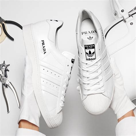 adidas x Prada superstar